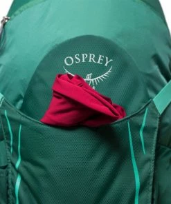 Osprey Hikelite 26 Rucksack Aloe Green Damen, Herren -Headbag-Shop unnamed file 1209