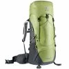 Deuter Aircontact Lite SL 35+10 Hikingrucksack Pistachio/Graphite Damen -Headbag-Shop unnamed file 1438